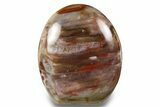 Free-Standing, Polished Petrified Wood - Madagascar #256707-1